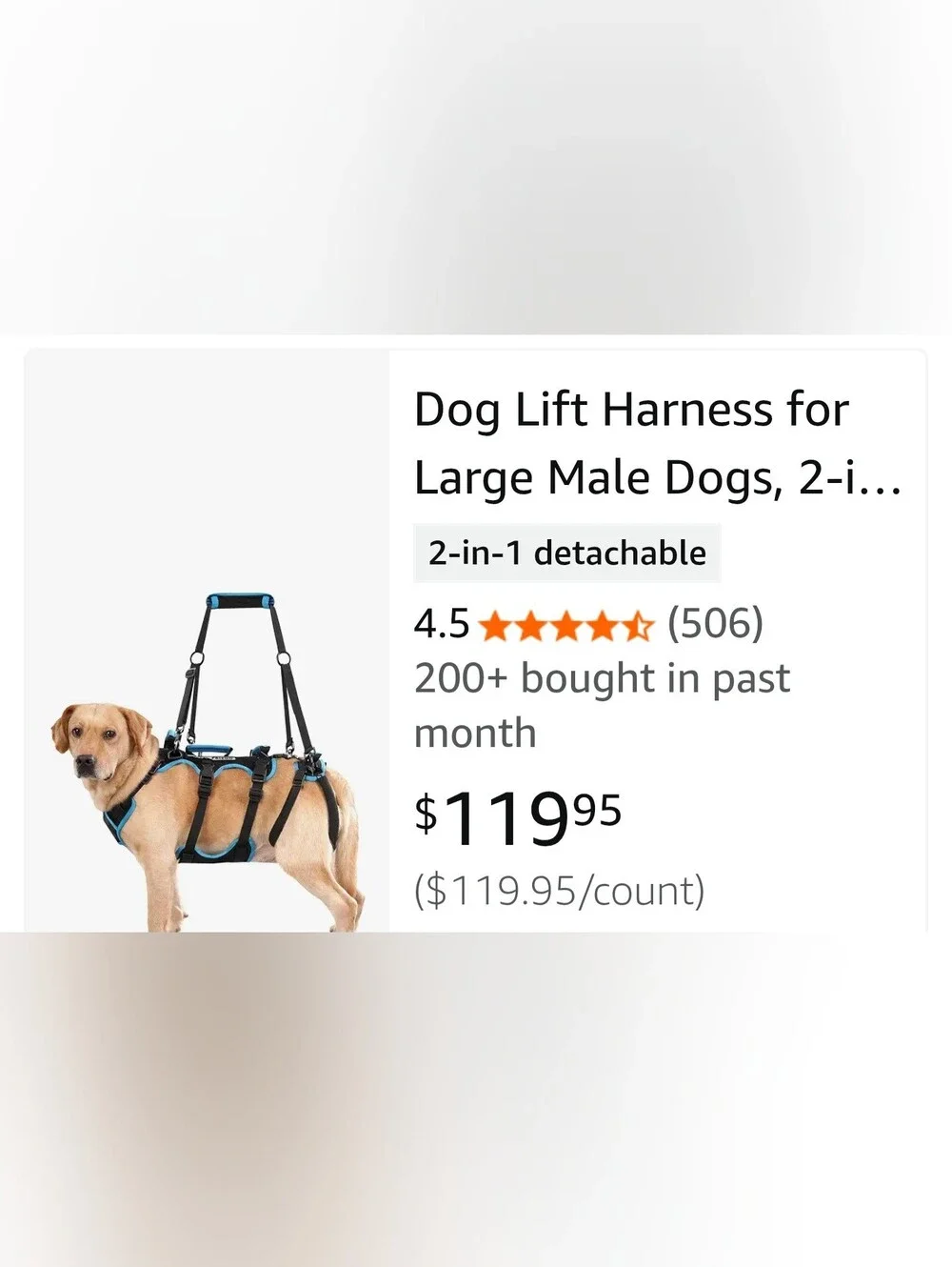 lafoty black dog